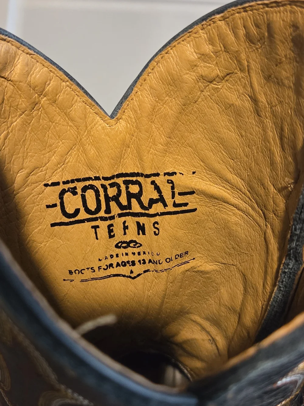 Corral Brown and Black Youth Western Boots with Embroidered Shaft